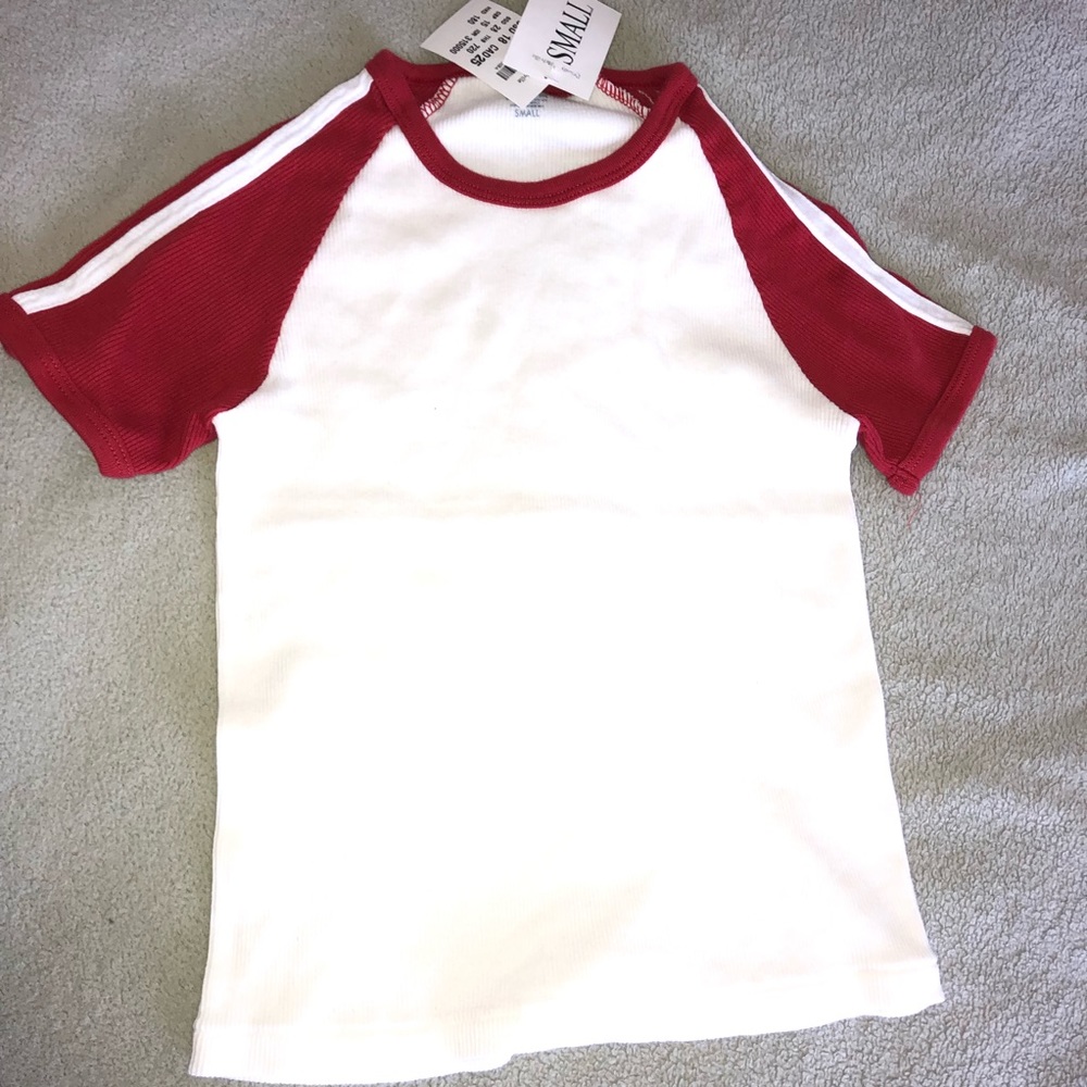 Brandy melville cropped tee